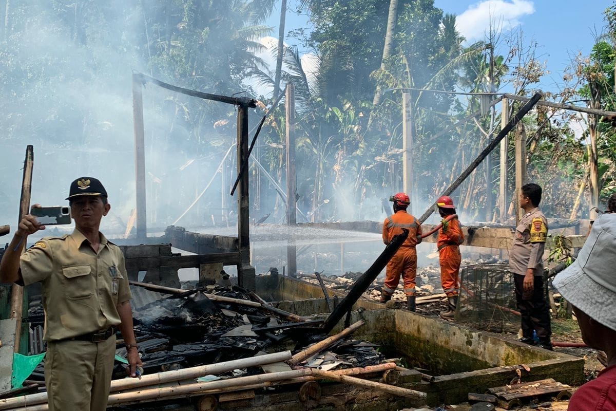Diduga akibat korsleting, kandang ayam di kabupaten semarang hangus terbakar