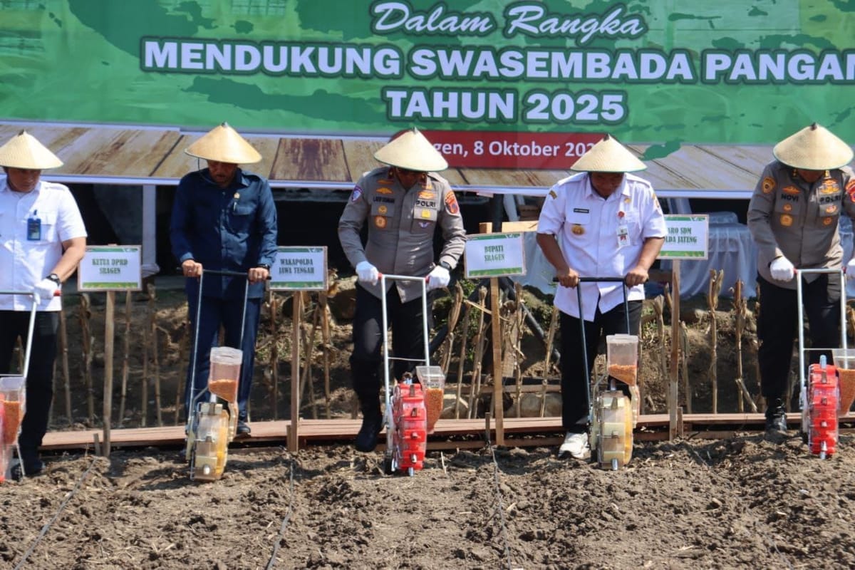 Wakapolda jateng tanam serentak di sragen, lepas 3 ton jagung