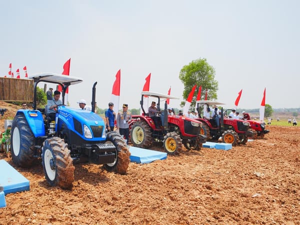 Dukung kemandirian pangan, wapres ma’ruf amin pimpin tanam jagung serentak