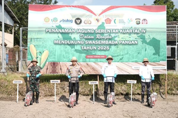 Dukung program ketahanan pangan pemerintah, polda bali tanam jagung di