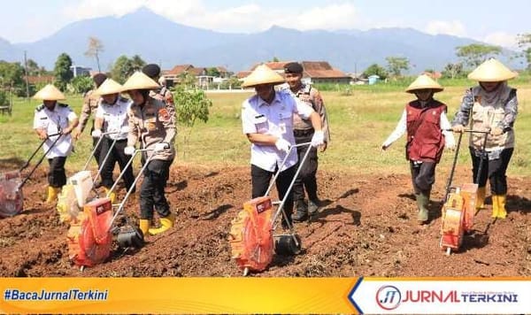 Kapolres semarang tanam jagung serentak, dorong produktivitas pertanian lokal
