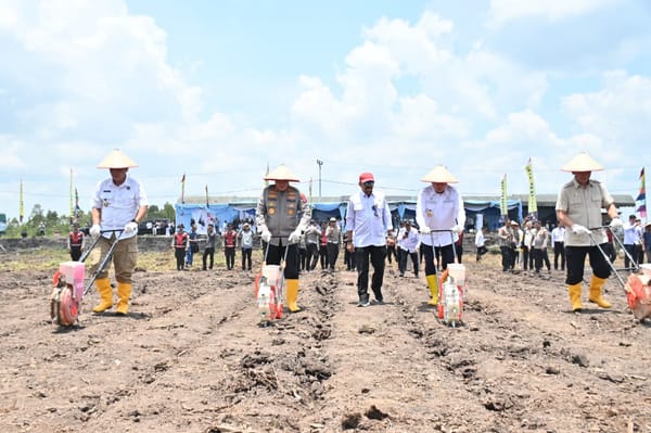 Tanam jagung kuartal iv, polda kalsel optimis panen 2 kali