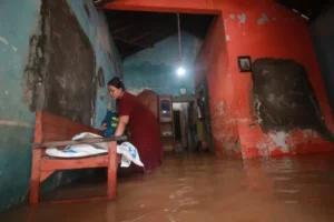 Tanggul Sungai Ngasem di Clering Jepara Jebol, Pemukiman-Sawah Warga Terendam! Begini Kondisinya Saat ini