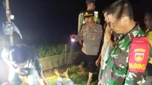 Terulang Lagi, Petani di Kabupaten Blora Tewas Tersengat Listrik Jebakan Tikus, Tak Ada Solusi?