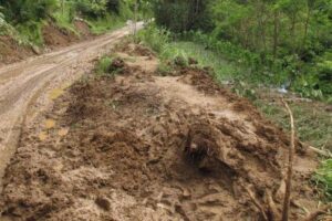 Longsor di Kaloran Temanggung Jawa Tengah, satu korban meninggal