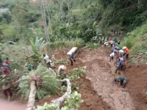 Tebing Jalan di Mojotengah Wonosobo Ini Longsor