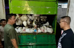 Polrestabes Semarang Kirim Penyidik ke Subang, Diduga Ada Oknum Petugas Terlibat Pemalsuan Dokumen Perjalanan Anjing