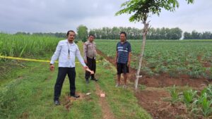 Bersama Tim Resmob, Polsek Tlogowungu Menangkap AM dan SY Pelaku Pencurian Sepeda Motor