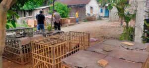 Kegiatan Sabung Ayam atau Latber Ayam? Polsek Wedarijaksa Periksa Keterangan Warga di TKP