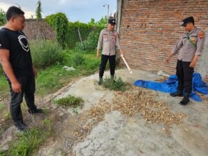 Sekelompok Pemuda Hendak Tawuran di Depan Gudang Padi, Polsek Kayen Turun Tangan