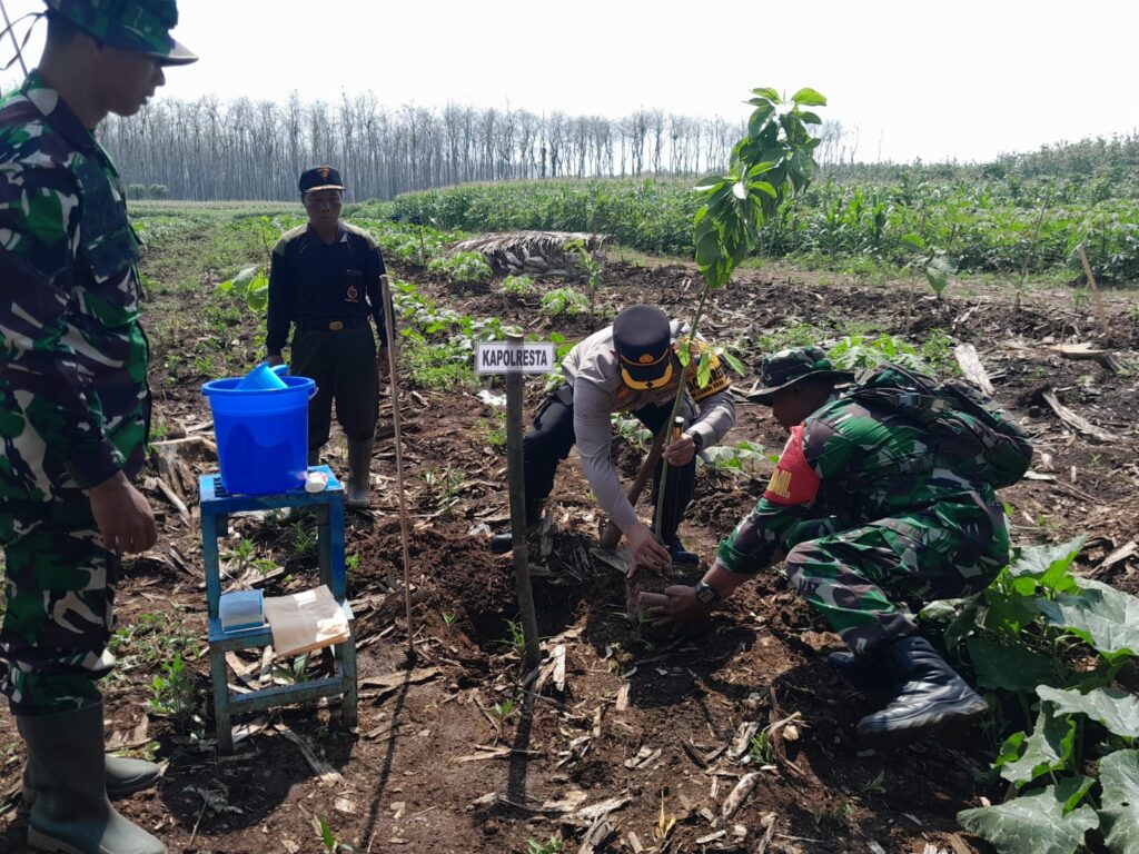 Pohon-Pohon Hijau Menyemarakkan Bumi Perkemahan Desa Regaloh