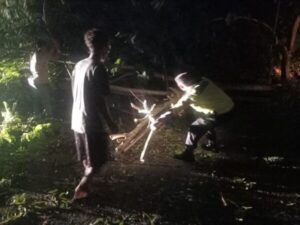 Bersihkan Pohon Tumbang di Jalan, Anggota Polsek Tulis Gotong-Royong Bersama Warga