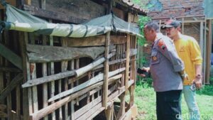 Belasan Kambing di Magelang Dicuri dalam Semalam