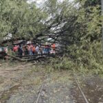 Kondisi Rel Kereta Api Di Jalan Mayor Sunaryo Kota Solo Terhalang Pohon Tumbang Rabu 312023 Siang 169