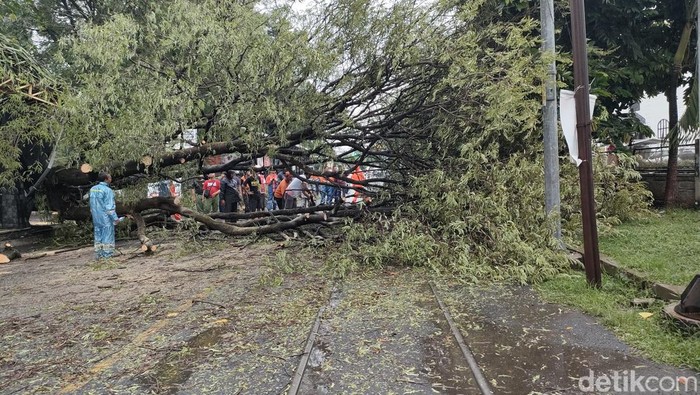 Kondisi Rel Kereta Api Di Jalan Mayor Sunaryo Kota Solo Terhalang Pohon Tumbang Rabu 312023 Siang 169