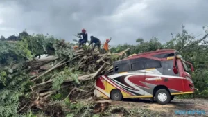 2 Pelajar Terluka usai Pohon Tumbang Timpa Minibus di Wonogiri