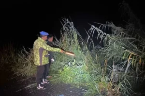 Polisi Ungkap Penyebab Kecelakaan Mobil Bawa Lima Penumpang Terperosok ke Jurang di Dieng Wonosobo