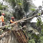 Bpbd Kebumen Bersama Warga Dan Relawan Melaksanakan