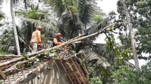 Tanah Longsor dan Angin Kencang Terjadi di Kebumen dalam Dua Hari