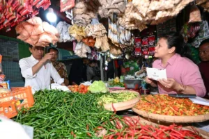 Kunjungi Pasar Wonogiri, Jokowi tinjau stok dan harga pangan