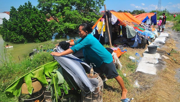 Banjir Belum Surut Warga Demak Ngungsi Di Tanggul Sungai 169