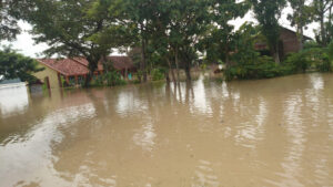 Akibat Tanggul Sungai Jebol, 2 Kecamatan di Demak Dilanda Banjir