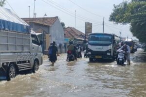 8 Desa di Brebes Terendam Banjir Akibat Sungai Cisanggarung Meluap