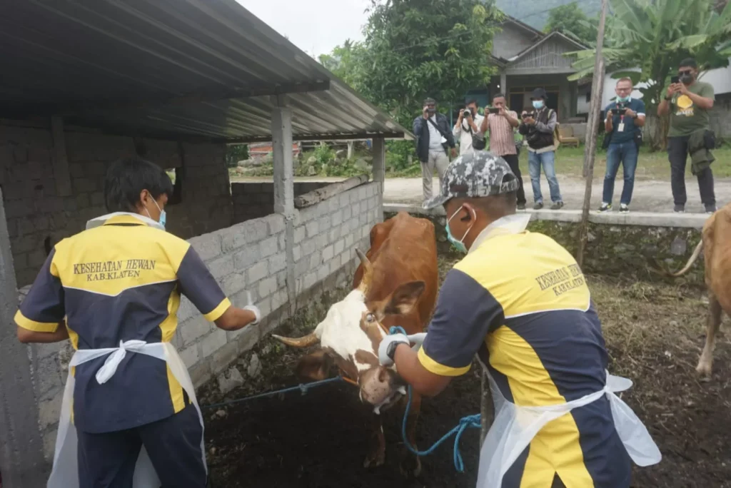 Berpotensi Jadi Tempat Penyebaran Antraks, Begini Cara Pengawasan Pasar Hewan di Klaten