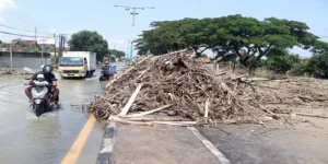 Banjir di Jalur Pantura Kudus-Demak Mulai Surut, Namun Akses Belum Sepenuhnya Bisa Dilalui. Begini Kondisinya