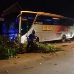 Bus Eka Kecelakaan Tunggal 3799697606