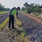 Pria Tewas Tertabrak Kereta Api Barang Di Perlintasan Karangawen Demak