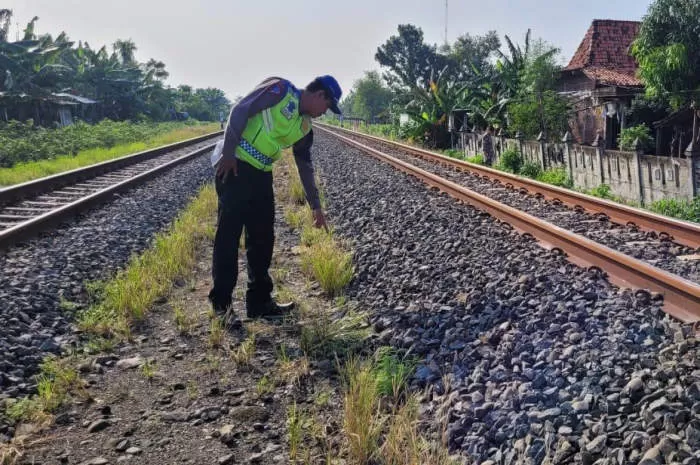 Pria Tewas Tertabrak Kereta Api Barang Di Perlintasan Karangawen Demak