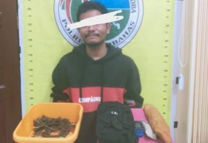 Tangkap Pelaku dari Simarpinasa, Polres Humbahas Sapu Bersih Narkoba