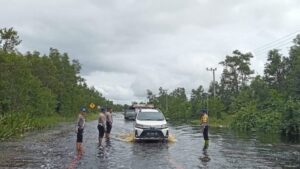 Banjir Rendam Jalan Lintas Trans Kalimantan, Polres Pulang Pisau Pamtur Jalan