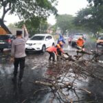 Polisi Di Pati Sigap Evakuasi Pohon Tumbang Yang Halangi Jalur