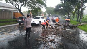 Polisi di Pati Sigap Evakuasi Pohon Tumbang yang Halangi Jalur Mudik Lebaran Jalan Pantura