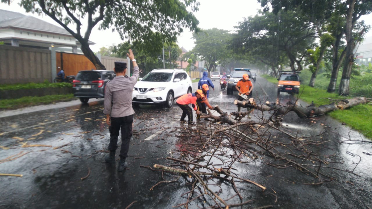 Polisi Di Pati Sigap Evakuasi Pohon Tumbang Yang Halangi Jalur