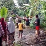 3 Desa Di Jepara Diterjang Puting Beliung, Ratusan Rumah Rusak