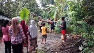 Puting Beliung Sapu 3 Desa di Jepara, Ratusan Rumah Rusak