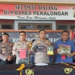 4 Pelaku Pengeroyokan Saat Orkes Di Pekalongan Diringkus Polisi, 6