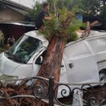 Akibat Angin Kencang, Sebuah Mobil Tertimpa Pohon Tumbang Di Solo