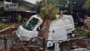 Akibat Angin Kencang, Sebuah Mobil Tertimpa Pohon Tumbang di Solo