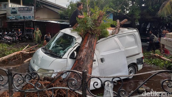 Akibat Angin Kencang, Sebuah Mobil Tertimpa Pohon Tumbang Di Solo