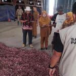 Cek Penyebab Harga Bawang Merah Mahal, Satgas Pangan Mabes Polri