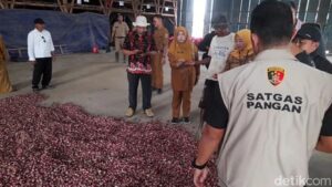 Cek Penyebab Harga Bawang Merah Mahal, Satgas Pangan Mabes Polri Kunjungi Brebes