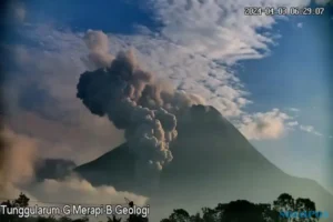 Gunung Merapi Meletus Luncurkan Awan Panas, Magelang Hujan Abu