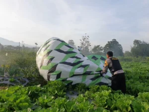 Gagalkan Penerbangan Balon Liar di Kertek, Polres Wonosobo Beri Peringatan Pelaku