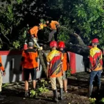 Hujan Deras Disertai Angin Kencang Terjang Tiga Kecamatan Di Sukoharjo