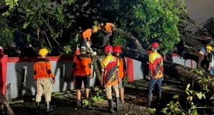 Angin Kencang Terjang Tiga Kecamatan di Sukoharjo