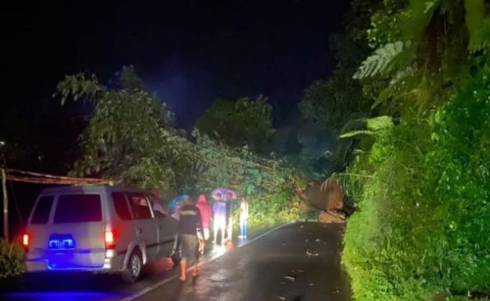 Jalur Pekalongan – Banjarnegara Macet usai Tebing Longsor di Desa Domiyang Paninggaran